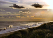 Winter seascape