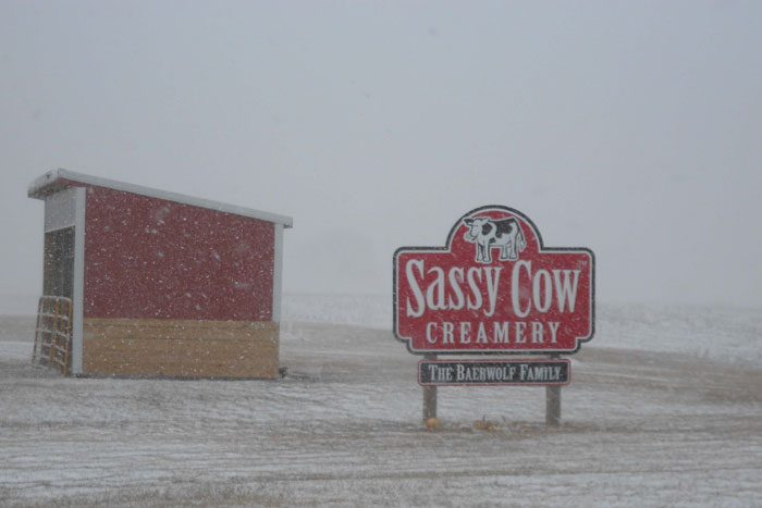 Sassy Cow Creamery in Columbus, Wis. is owned and operated by Rob and Jenny Baerwolf and James and Jenny Baerwolf. After returning from college, the brothers began farming together and eventually expanded to include an organic dairy. In 2008, they added the creamery and farmstead store. Both couples have equal ownership of all three business entities.