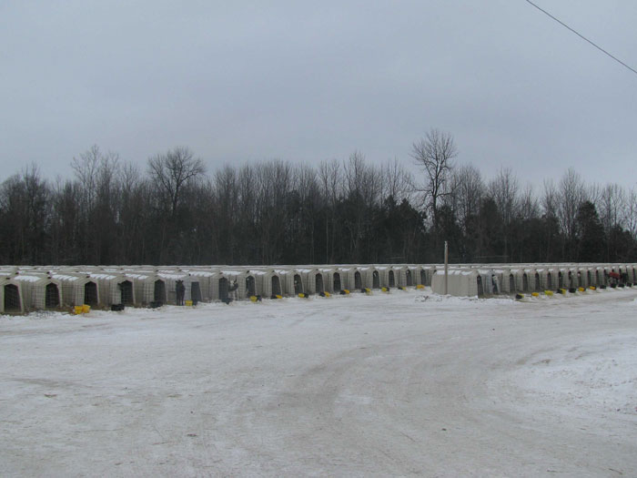 Hall's Calf Ranch in Kewaunee, Wis. is currently home to 4,000 calves in hutches with a maximum capacity of 5,000 calves. J. Hall has owned and operated Hall's Calf Ranch since 1997.