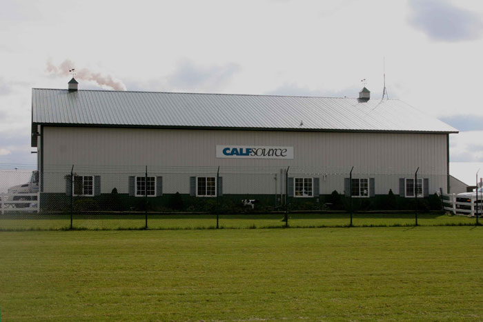 Calf Source, a calf ranch in DePere, Wis., is owned by JBS, the world's largest protein provider. It has been managed by directors Wes and Kim Davis for just over a year.