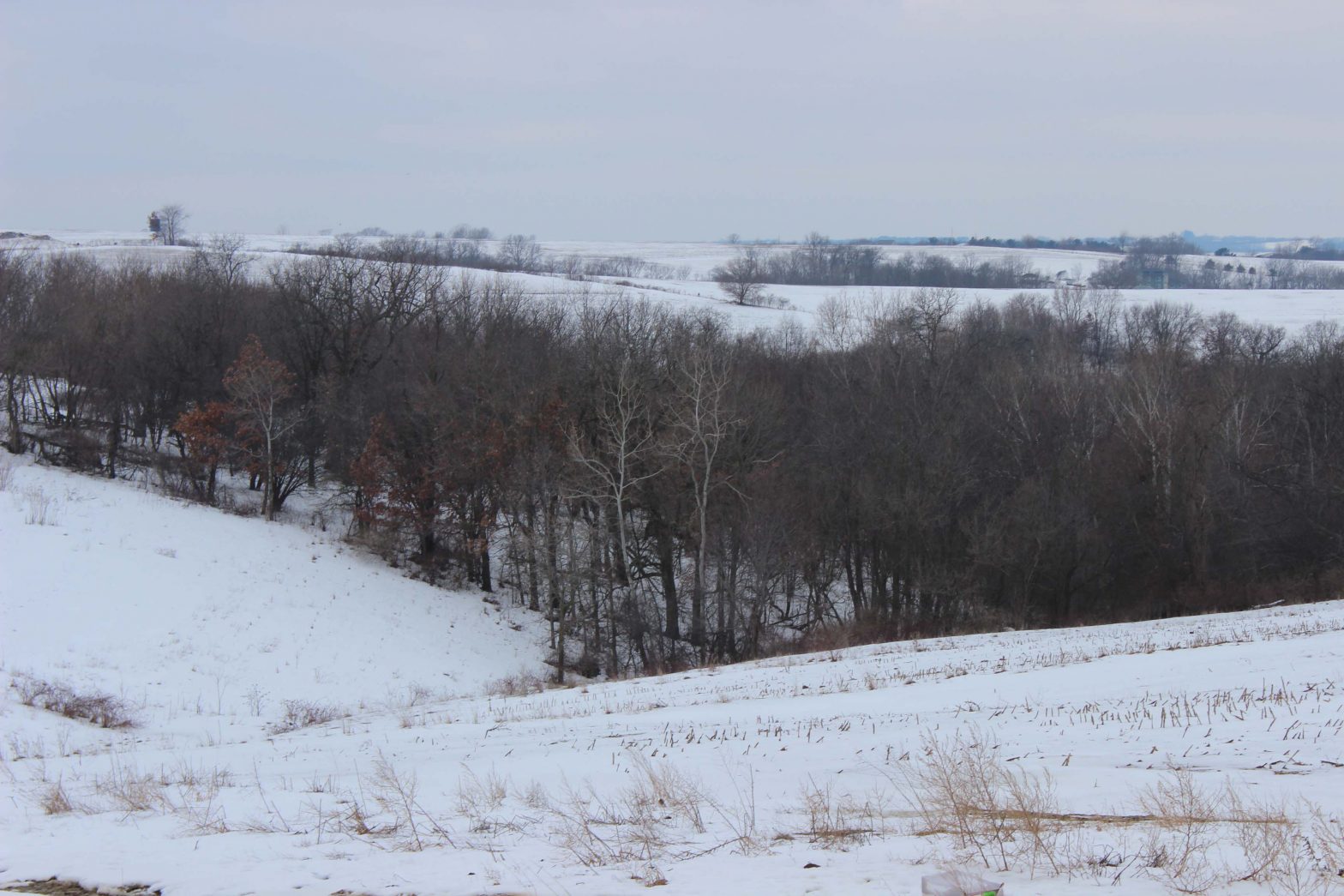 Located in Lancaster, Wisconsin, Orthridge Jerseys sits amid the rolling hills of the state's driftless region.  Derek Orth said he enjoys the geography as it challenges his family to "think harder" about their facilities and management strategies.