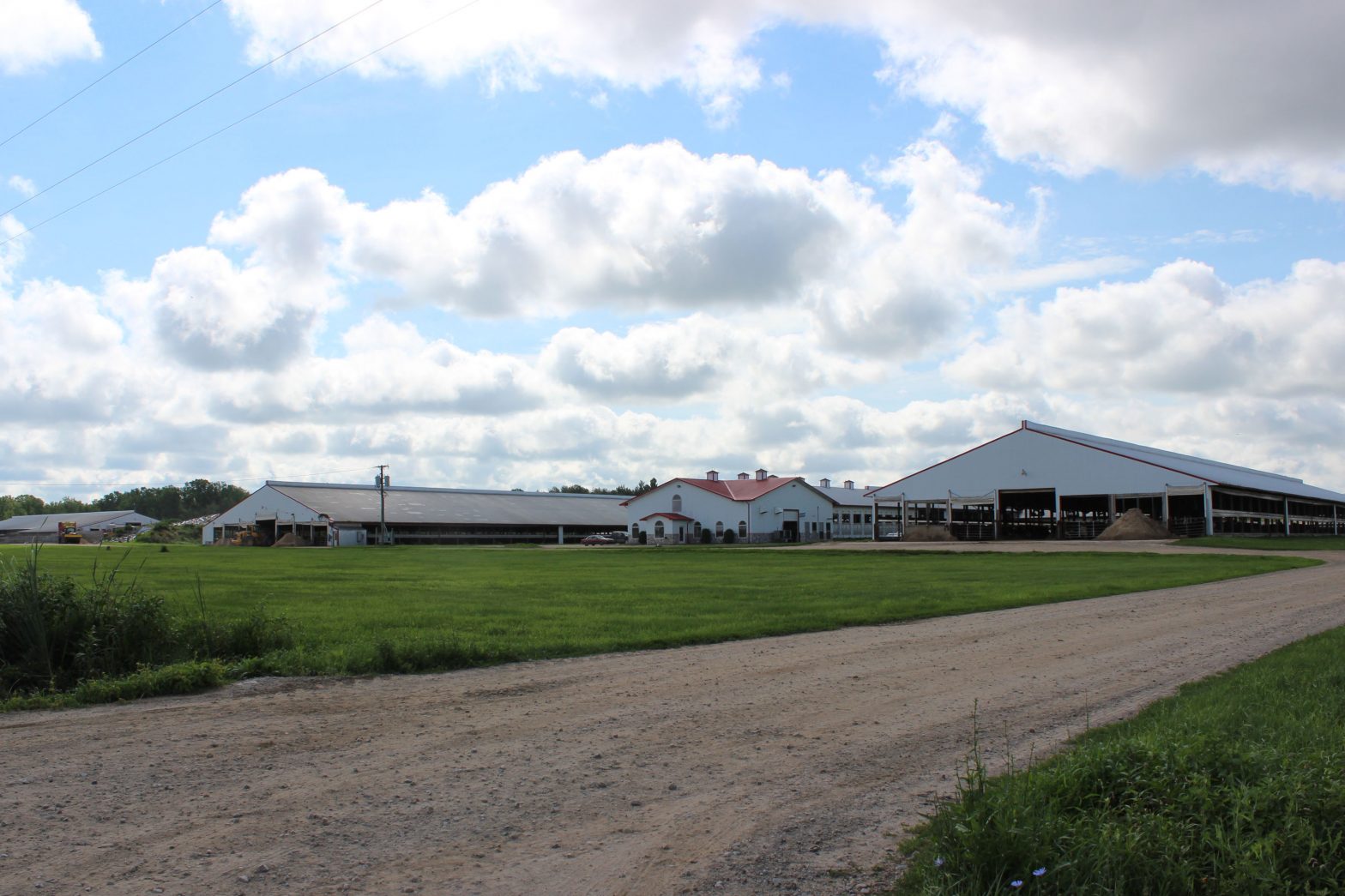 Aquila Dairy Farms in Bad Axe, Michigan is owned and operated by the Verhaar family.  Through gradual expansions over 17 years, the farm grew to its current size of about 2,000 milking cows.
