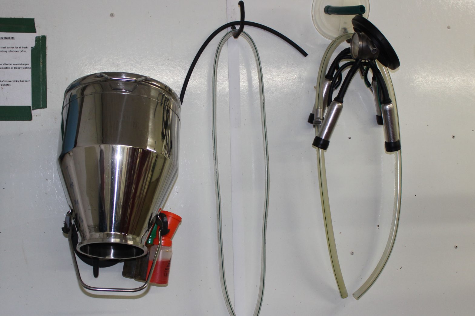 This stainless steel pail is used to harvest colostrum after calving.  It is sanitized between uses and the hoses and inflations are replaced monthly.  This helps keep the colostrum as clean and high quality as possible.