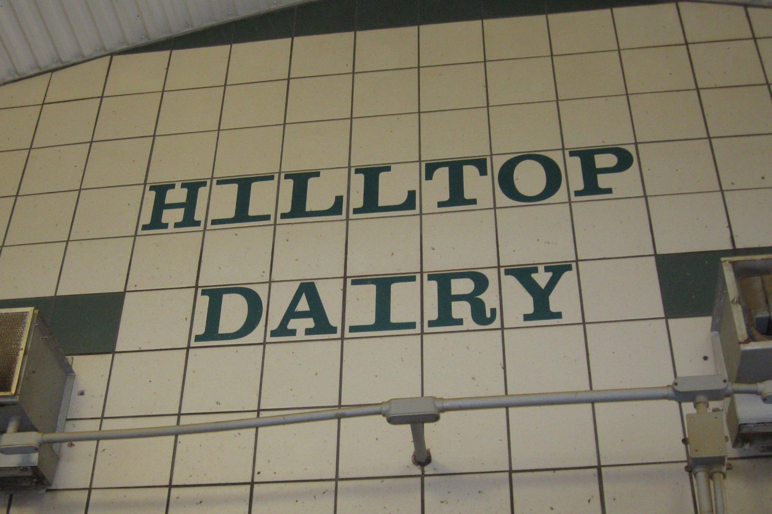 Hilltop Dairy LLC is a 1,200-cow dairy in Waupun, Wisconsin.  The farm has about 110 calves on milk.