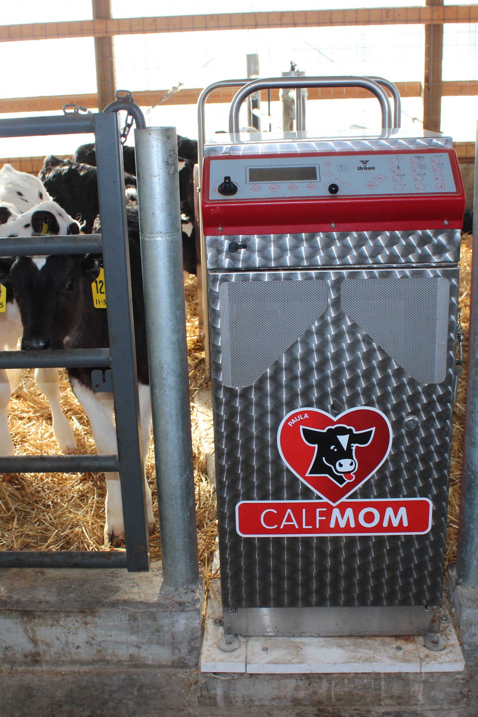 One year ago, Brad and Carla Juedes of Juedes Dairy in Merrill, Wisconsin installed this Urban automatic calf feeder in a new calf barn.  They chose the Urban system for its easy maintenance and sanitation as well as excellent local dealer customer service.