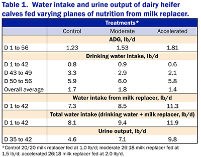 Fast Fact: How much water does a calf excrete? - Dr. Noah Litherland ...