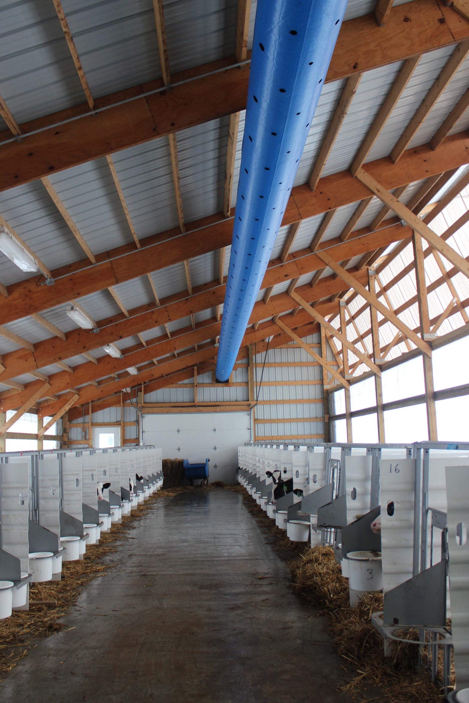 Wittenberg Embryo Transfer in Wausau, Wisconsin added this new calf barn in the fall of 2015.  It features a milk room in the center of the barn with tube ventilation based on Dairyland Initiative designs.