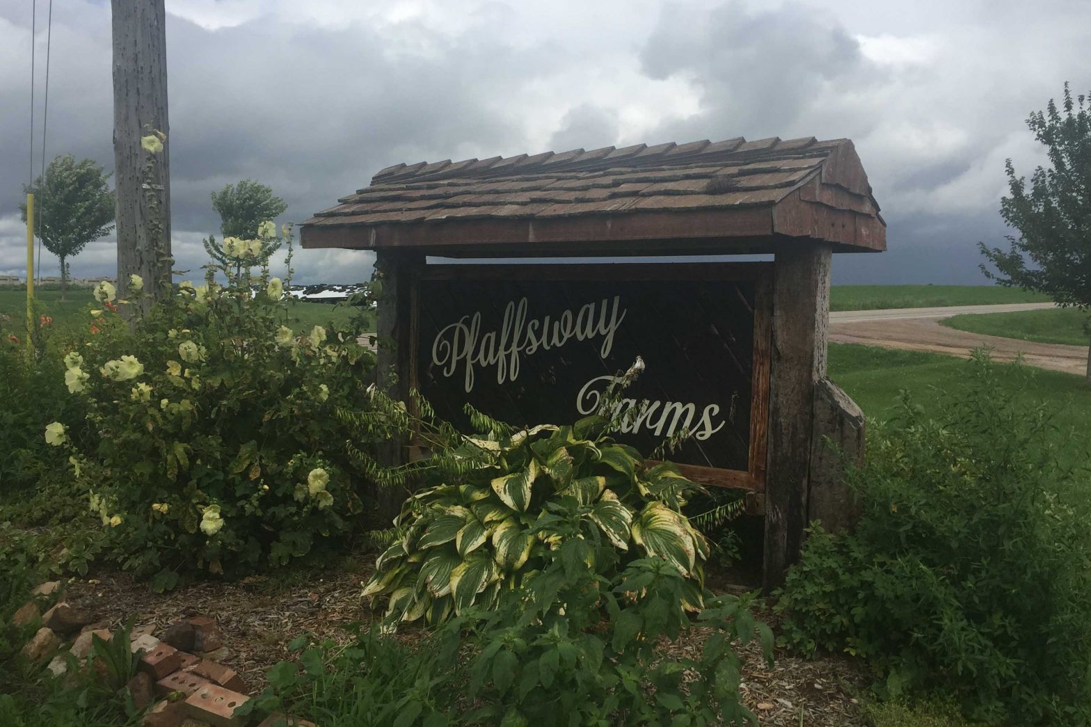 Steve and Kris Pfaff own and operate Pfaffsway Farms, a family farm in Alma Center, Wisconsin.  Their son, Casey, works fulltime on the farm and their daughters, Olivia and Larissa, also help with chores.