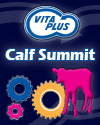 Calf Summit 125 px