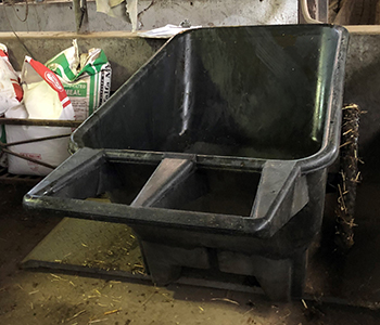 Using a wheelbarrow to move and weigh newborn calves has helped make life easier for Katie Grinstead and her team at Vir-Clar Farms.