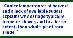 Cooler temperatures at harvest and a lack of available sugars explains why earlage typically ferments slower, and to a lesser extent, than whole-plant corn silage.
