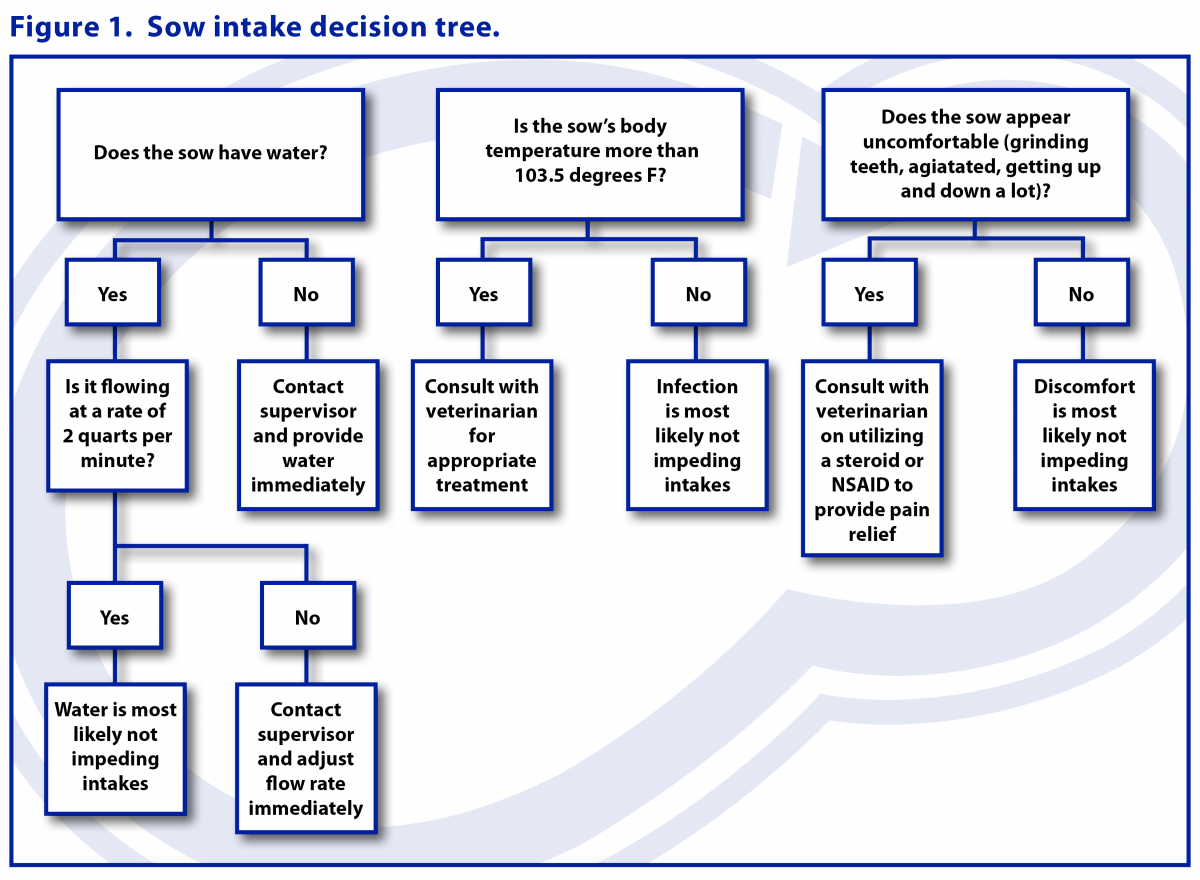 Figure 1. Sow intake decision tree.