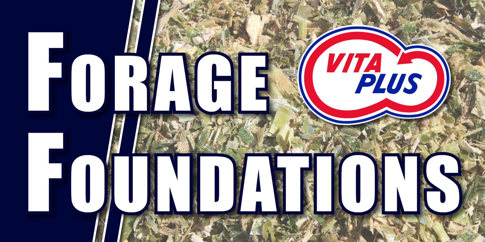 2021 Forage Foundations Online Resources button