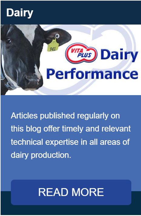Dairy-Category