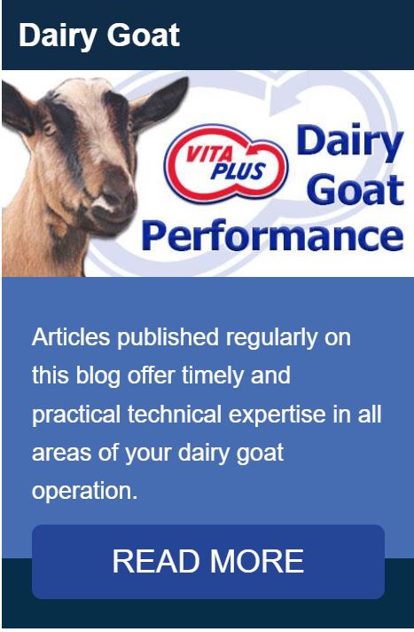Dairy-Goat-Category