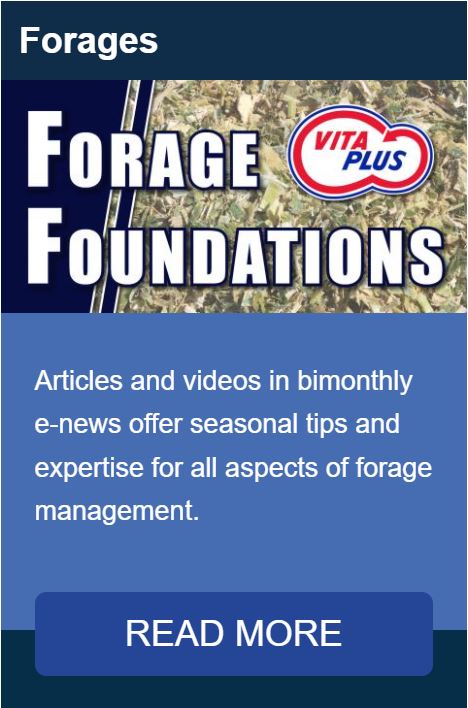 Forages-Category