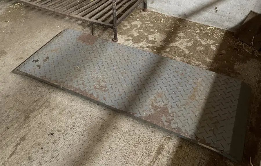 Platform scale for easily weighing newborn calves when moving them with a wheelbarrow or cart