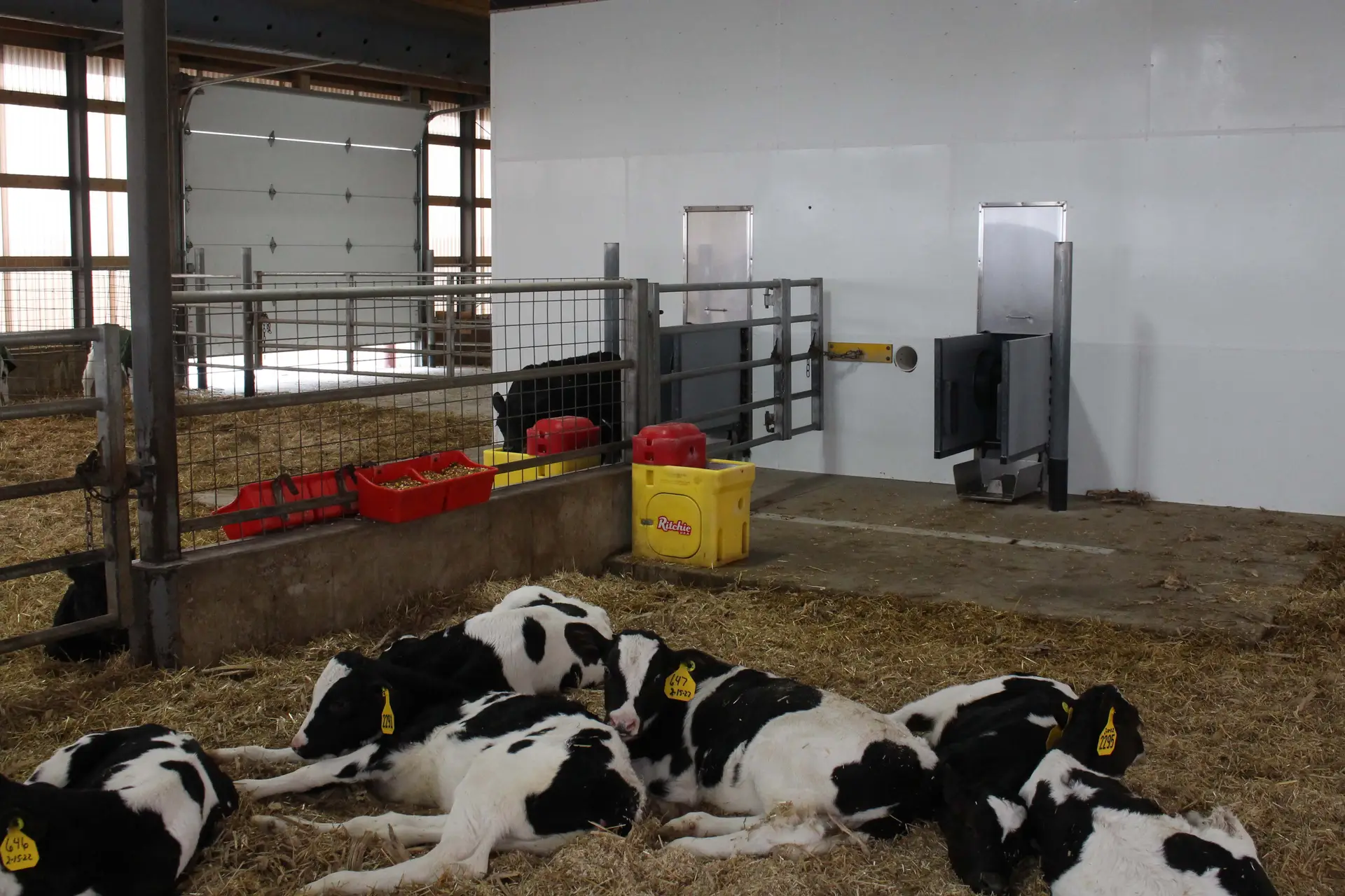 Ryan said cleanliness is essential to success with autofeeders. The feeding pad, stalls and waterers are cleaned daily. Nipples are replaced twice a day and the autofeeder runs a cleaning cycle daily. All hoses and lines are replaced every four months.