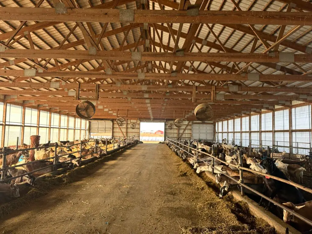 Milker Barn